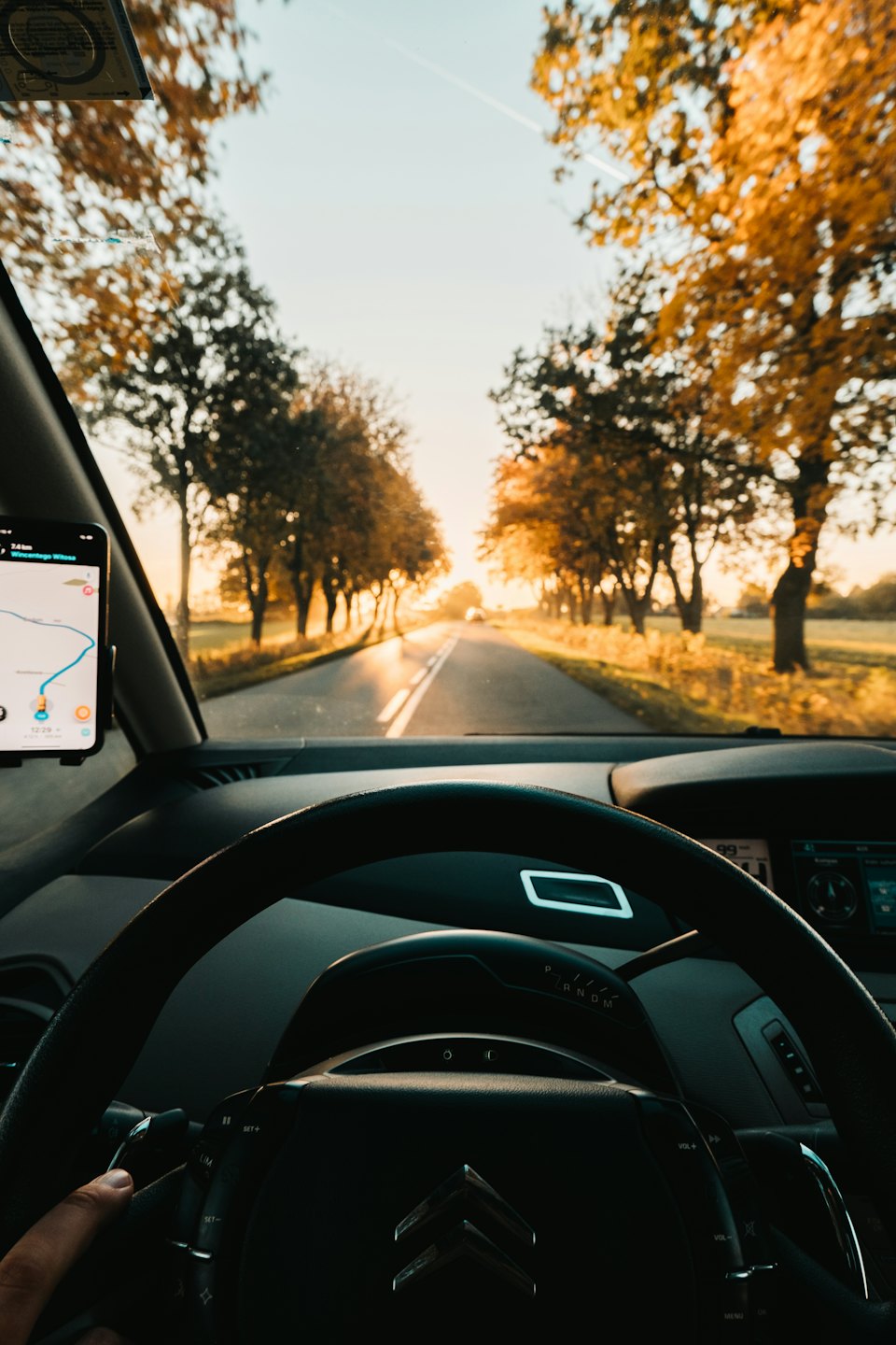 Driver holds the steering wheel while navigating along autumn trees.